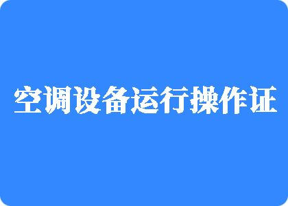 男人日人B免费观看视频制冷工证